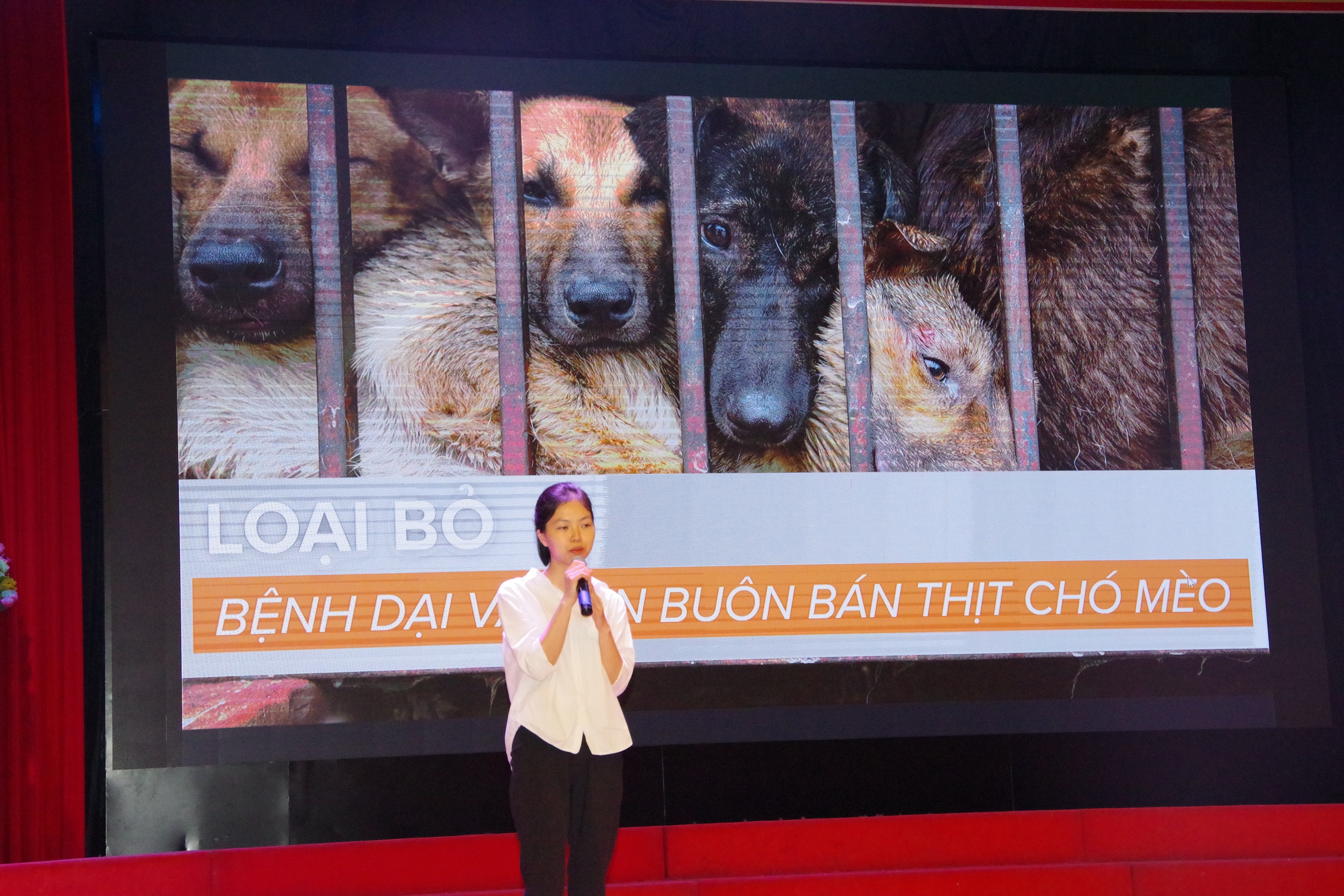 Trao giải cuộc thi "Thanh niên hành động - Hướng tới loại bỏ bệnh dại và hoạt động buôn bán, giết mổ chó mèo"