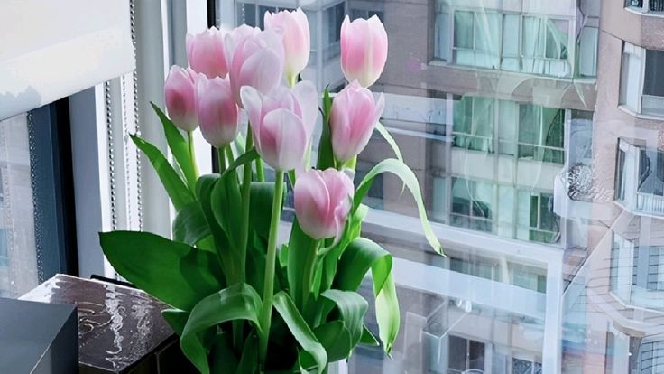 Tử vi vòng quay công nghệ ngày 1/4/2026: Tuổi Sửu làm việc vất vả, tuổi Thân tin vui tài lộc