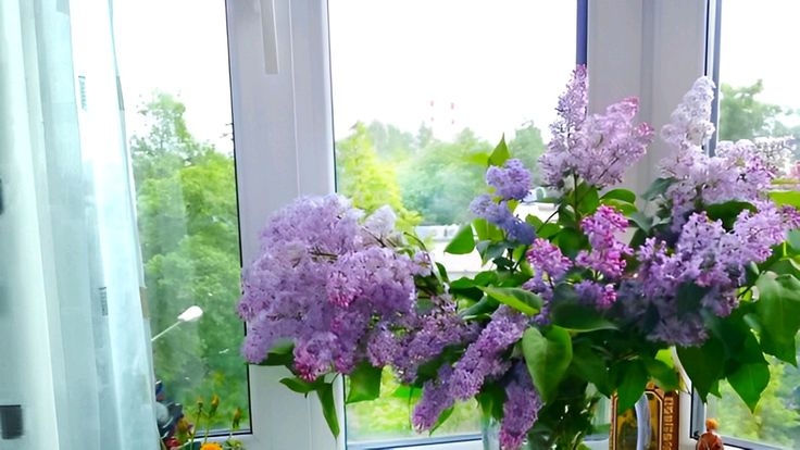 Tử vi vòng quay công nghệ ngày 2/4/2026: Tuổi Sửu buôn bán thuận lợi, tuổi Dậu lao đao công việc