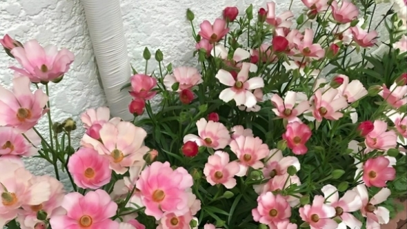 Tử vi vòng quay công nghệ ngày 2/4/2026: Tuổi Sửu buôn bán thuận lợi, tuổi Dậu lao đao công việc