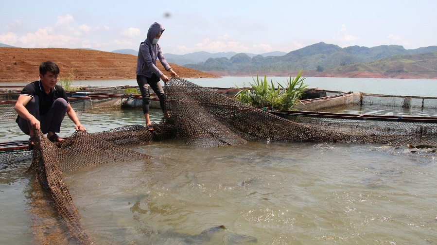 Khai thác hiệu quả tiềm năng nuôi trồng thủy sản ở các hồ chứa