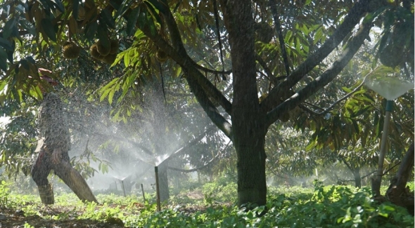 Lâm Đồng: Nỗ lực bảo đảm nguồn nước phục vụ sản xuất nông nghiệp