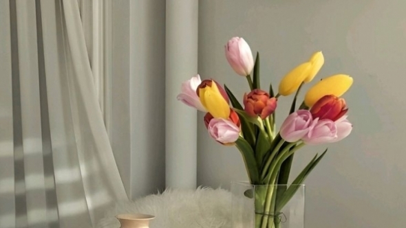 Tử vi vòng quay công nghệ ngày 3/4/2026: Tuổi Mùi kiếm thêm thu nhập, tuổi Tuất tình yêu thăng hoa