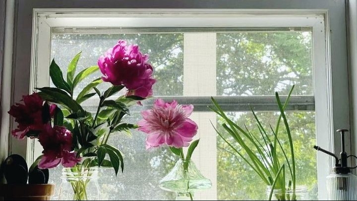 Tử vi vòng quay công nghệ ngày 5/4/2026: Tuổi Dậu may mắn, tuổi Dần nhiều rắc rối