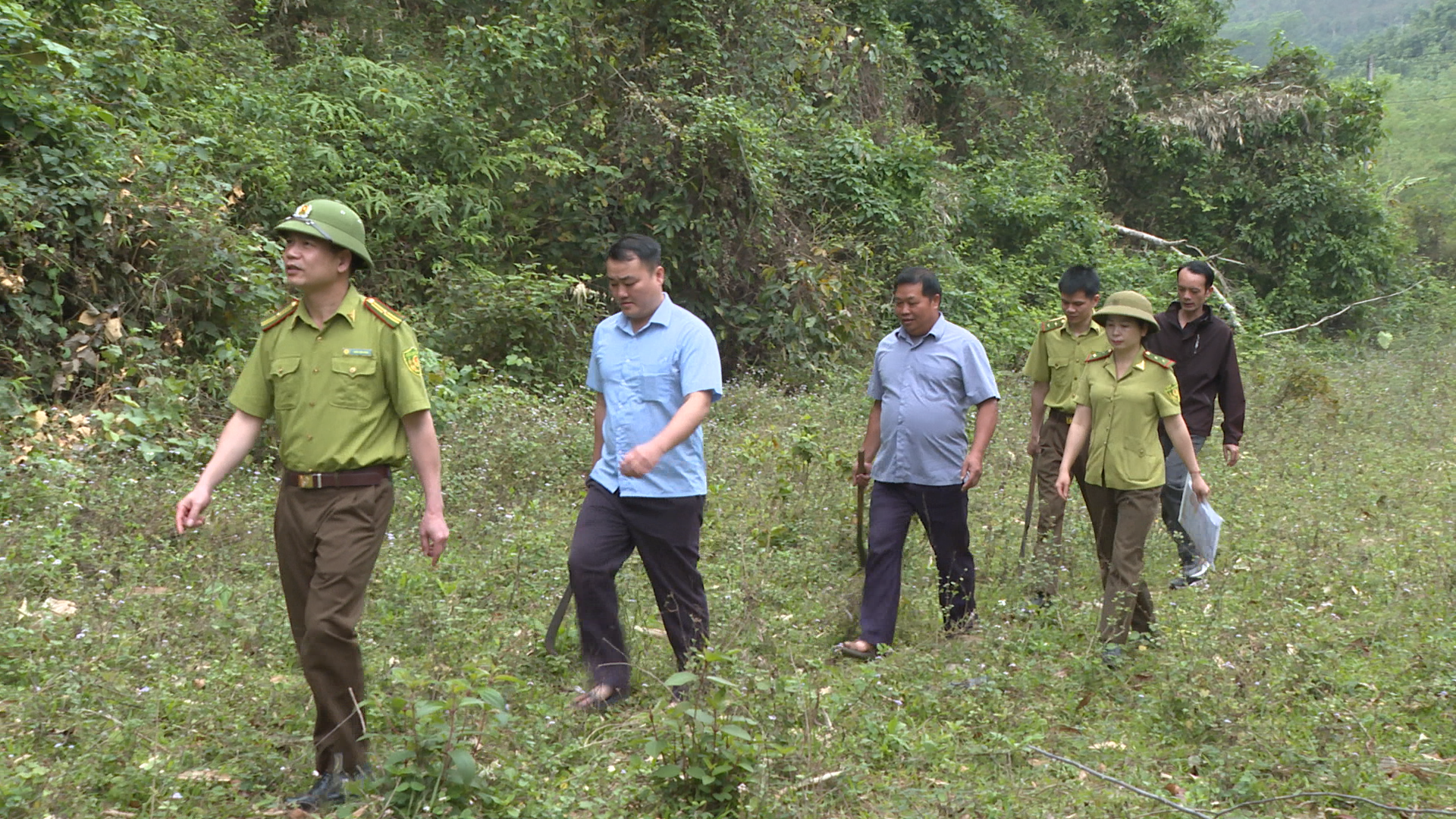 Lạng Sơn dẫn đầu cả nước về tỷ lệ che phủ rừng Lạng Sơn dẫn đầu cả nước về tỷ lệ che phủ rừng
