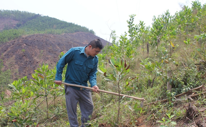 Lạng Sơn dẫn đầu cả nước về tỷ lệ che phủ rừng Lạng Sơn dẫn đầu cả nước về tỷ lệ che phủ rừng