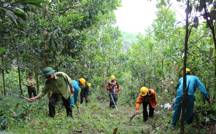 Điện Biên: Tăng cường bảo vệ, phòng chống cháy rừng trong cao điểm nắng nóng