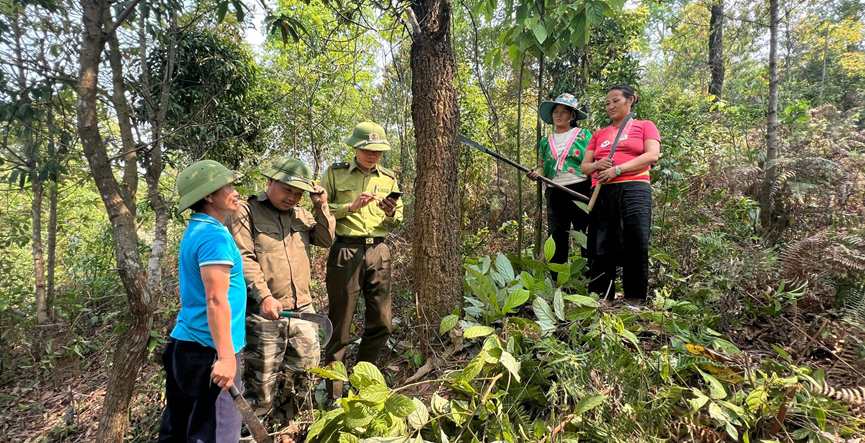 Điện Biên: Tăng cường bảo vệ, phòng chống cháy rừng trong cao điểm nắng nóng