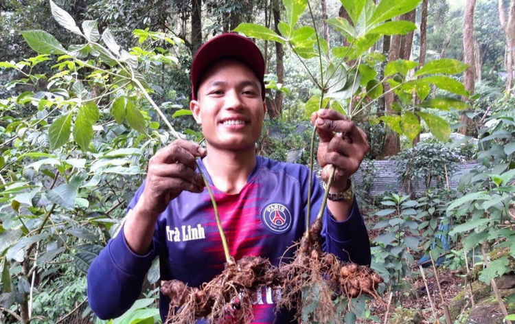 Đà Nẵng tập trung phát triển sản phẩm nông nghiệp hữu cơ chủ lực Đà Nẵng tập trung phát triển sản phẩm nông nghiệp hữu cơ chủ lực