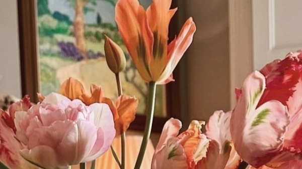 Tử vi vòng quay công nghệ ngày 8/4/2026: Tuổi Tỵ không mấy suôn sẻ, tuổi Thân khá trôi chảy