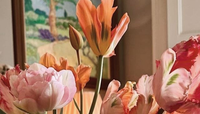 Tử vi vòng quay công nghệ ngày 8/4/2026: Tuổi Tỵ không mấy suôn sẻ, tuổi Thân khá trôi chảy Tử vi vòng quay công nghệ ngày 8/4/2026: Tuổi Tỵ không mấy suôn sẻ, tuổi Thân khá trôi chảy