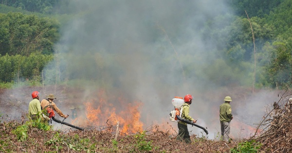 Nắng nóng gay gắt, miền Trung cấp bách phòng cháy, chữa cháy rừng Nắng nóng gay gắt, miền Trung cấp bách phòng cháy, chữa cháy rừng