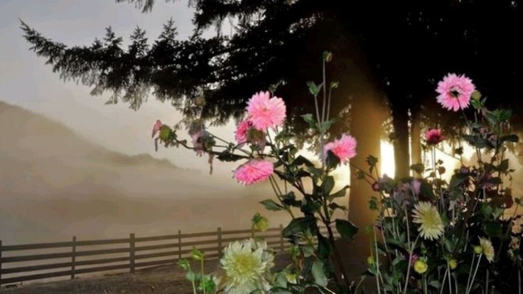 Tử vi vòng quay công nghệ ngày 12/4/2026: Tuổi Tuất khá thăng trầm, tuổi Dần vấp phải trở ngại