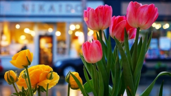 Tử vi vòng quay công nghệ ngày 12/4/2026: Tuổi Tuất khá thăng trầm, tuổi Dần vấp phải trở ngại