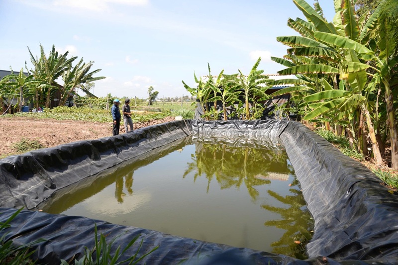 Chủ động tích trữ, điều tiết nước ứng phó hạn, mặn