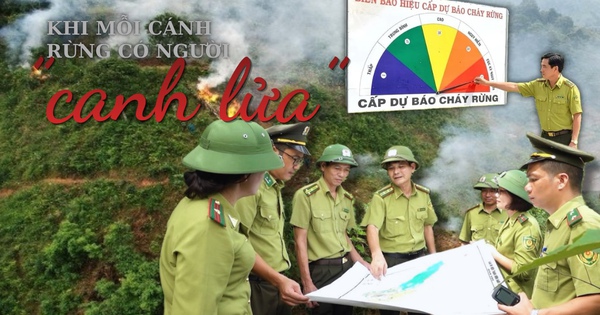 Khi mỗi cánh rừng có người ‘canh lửa’