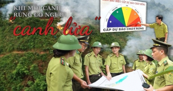 Khi mỗi cánh rừng có người ‘canh lửa’