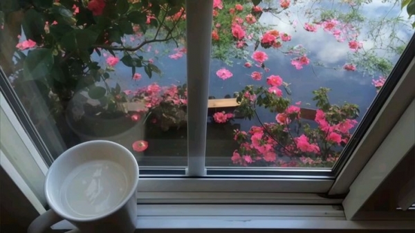 Tử vi vòng quay công nghệ ngày 15/4/2026: Tuổi Thân cải thiện tâm trạng, tuổi Tý tránh lặp sai lầm