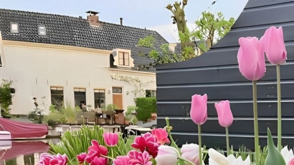 Tử vi vòng quay công nghệ ngày 20/4/2026: Tuổi Tỵ vướng phải mâu thuẫn, tuổi Mùi nhiều cơ hội