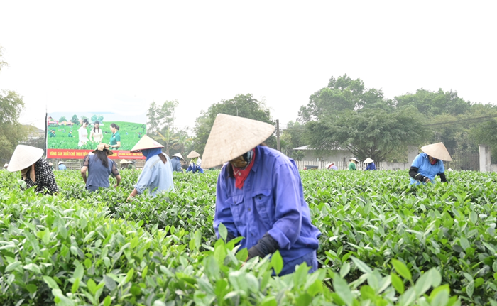 Nội dung phong trào thi đua mới cần hướng mục tiêu thúc đẩy tăng trưởng hai con số