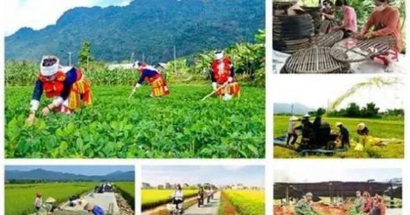 Chương trình mục tiêu quốc gia giai đoạn mới: Hoàn thiện thể chế, tập trung nguồn lực cho cơ sở