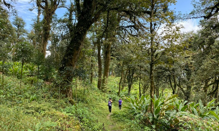 Lào Cai: Nâng cao nhận thức người dân trong bảo tồn động vật hoang dã