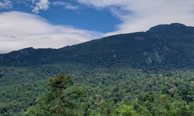 Ninh Bình triển khai giao rừng, cho thuê rừng