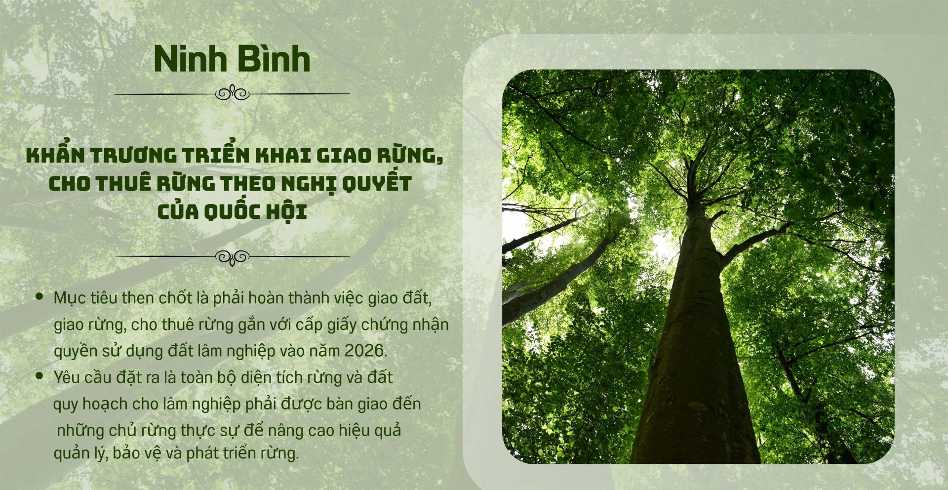 Ninh Bình triển khai giao rừng, cho thuê rừng