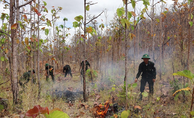 Ứng phó nguy cơ cháy rừng cao điểm mùa khô