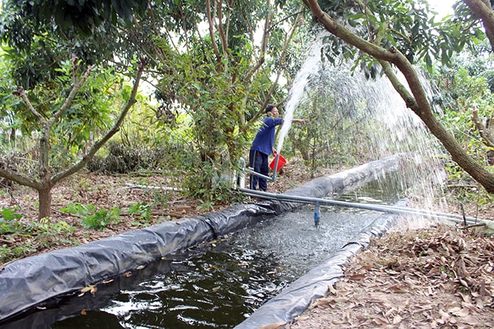 Cần Thơ: Linh hoạt phương án ứng phó nguy cơ khô hạn, xâm nhập mặn
