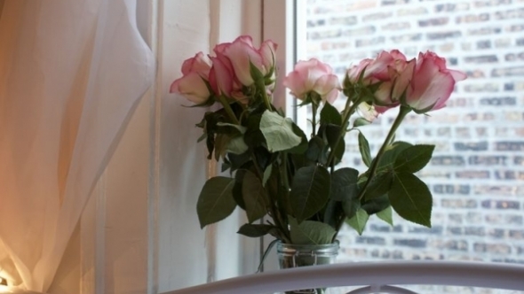 Tử vi vòng quay công nghệ ngày 29/4/2026: Tuổi Ngọ vô cùng bất ổn, tuổi Thân công việc trôi chảy