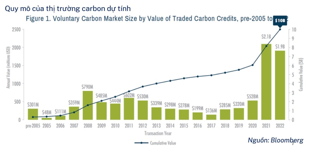 Tín chỉ carbon Việt Nam - Lớp đầu tư tài sản tiềm năng mới