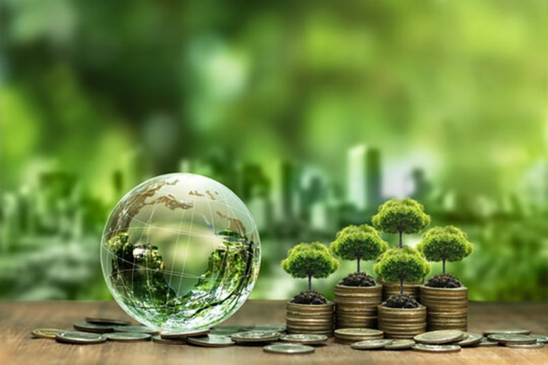Tín chỉ carbon Việt Nam - Lớp đầu tư tài sản tiềm năng mới