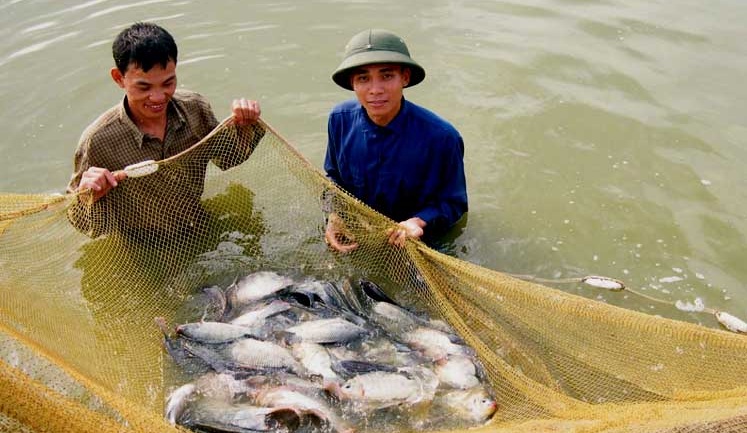 Đời sống người dân được nâng cao nhờ phát triển nuôi trồng thuỷ sản