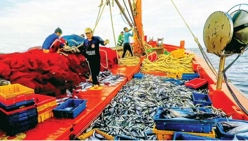 Ứng dụng công nghệ trong phòng chống khai thác hải sản bất hợp pháp Ứng dụng công nghệ trong phòng chống khai thác hải sản bất hợp pháp