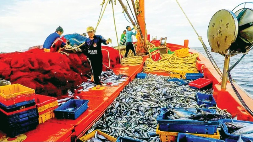 Ứng dụng công nghệ trong phòng chống khai thác hải sản bất hợp pháp