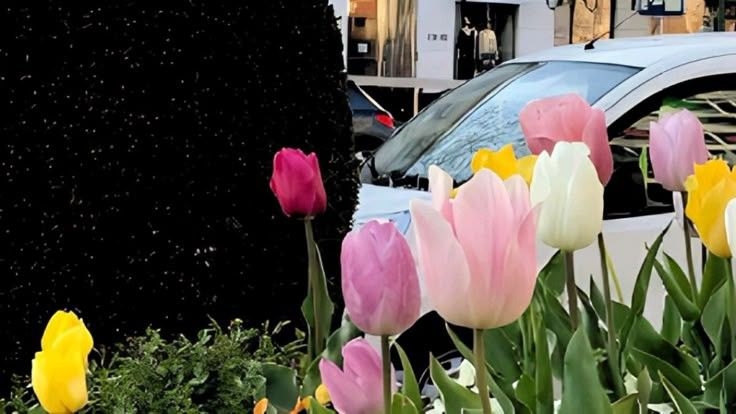 Tử vi vòng quay công nghệ ngày 2/5/2025: Tuổi Dậu phát triển tích cực, tuổi Thìn áp lực đặc biệt Tử vi vòng quay công nghệ ngày 2/5/2025: Tuổi Dậu phát triển tích cực, tuổi Thìn áp lực đặc biệt