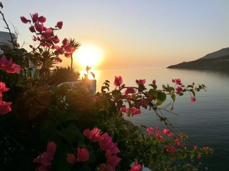 Tử vi vòng quay công nghệ ngày 2/5/2025: Tuổi Dậu phát triển tích cực, tuổi Thìn áp lực đặc biệt Tử vi vòng quay công nghệ ngày 2/5/2025: Tuổi Dậu phát triển tích cực, tuổi Thìn áp lực đặc biệt