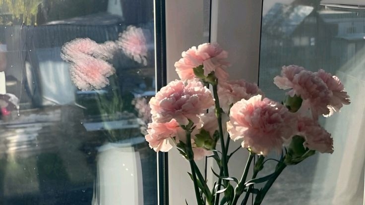 Tử vi vòng quay công nghệ ngày 3/5/2025: Tuổi Tỵ có nhiều cơ hội, tuổi Mão dính vào mâu thuẫn Tử vi vòng quay công nghệ ngày 3/5/2025: Tuổi Tỵ có nhiều cơ hội, tuổi Mão dính vào mâu thuẫn