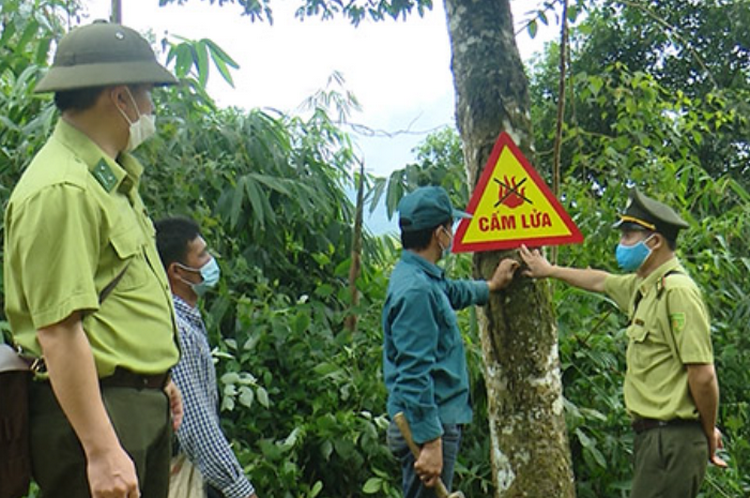Tuyên Quang: Nâng cao công tác phòng chống cháy rừng trong cao điểm nắng nóng