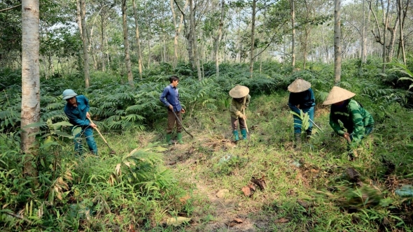 Tuyên Quang: Nâng cao công tác phòng chống cháy rừng trong cao điểm nắng nóng