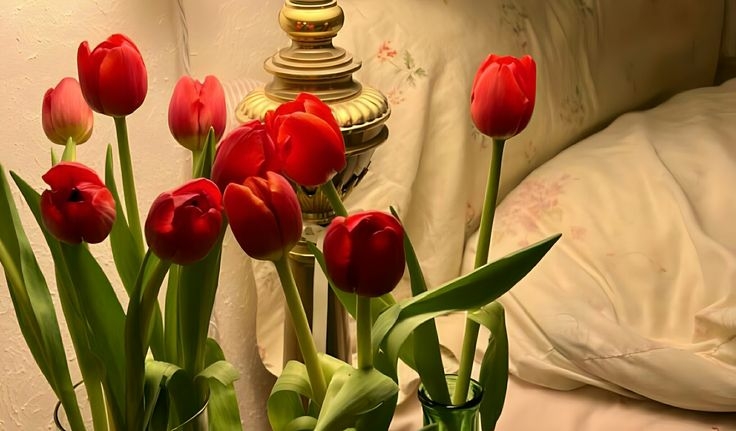 Tử vi vòng quay công nghệ ngày 5/5/2025: Tuổi Dần nên thận trọng, tuổi Mão may mắn trong các quan hệ tình cảm