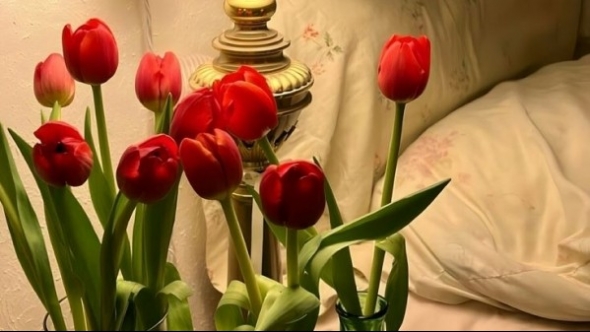 Tử vi vòng quay công nghệ ngày 5/5/2025: Tuổi Dần nên thận trọng, tuổi Mão may mắn trong các quan hệ tình cảm