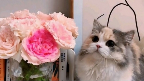 Tử vi vòng quay công nghệ ngày 6/5/2025: Tuổi Hợi không được suôn sẻ, tuổi Thân tín hiệu tích cực