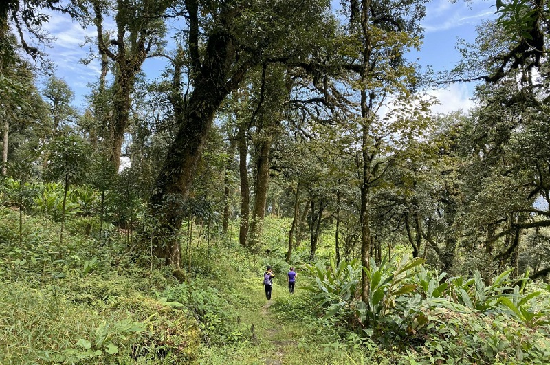 Phát triển du lịch sinh thái tại Khu bảo tồn thiên nhiên Hoàng Liên - Văn Bàn Phát triển du lịch sinh thái tại Khu bảo tồn thiên nhiên Hoàng Liên - Văn Bàn