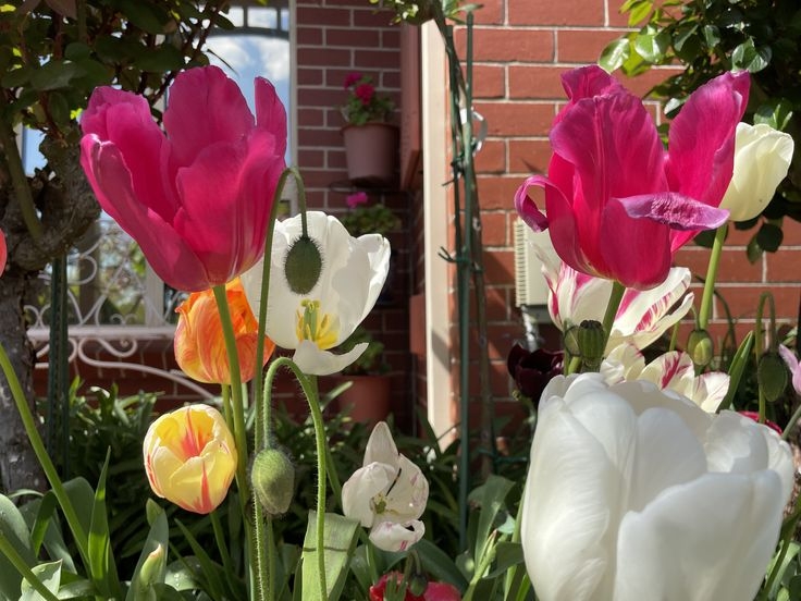 Tử vi vòng quay công nghệ ngày 9/5/2025: Tuổi Hợi khá vất vả, tuổi Thìn gặp nhiều may mắn