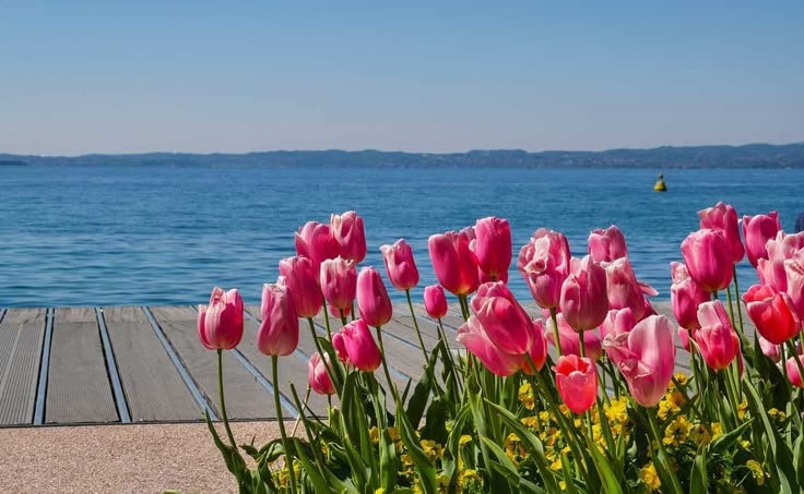 Tử vi vòng quay công nghệ ngày 9/5/2025: Tuổi Hợi khá vất vả, tuổi Thìn gặp nhiều may mắn