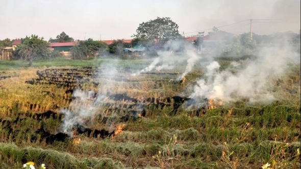 Huế xử lý nghiêm các trường hợp đốt rơm rạ sau thu hoạch