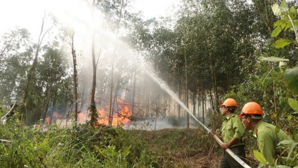 Quảng Ngãi: Hơn 159.000 ha rừng nguy cơ cháy cao