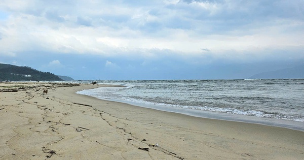 Đà Nẵng lập Tổ công tác nghiên cứu ý tưởng lấn biển Đà Nẵng lập Tổ công tác nghiên cứu ý tưởng lấn biển